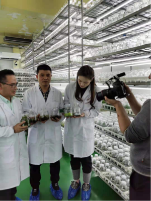 國坤堂鐵皮石斛榮獲國家農(nóng)產(chǎn)品地理標志保護產(chǎn)品