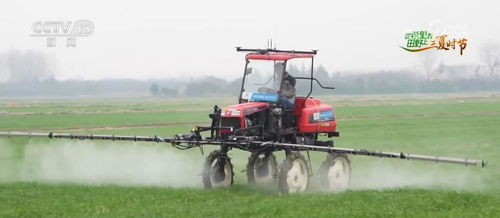 算力織網，智繪“三農”新藍圖 科技賦能農產品生產向優、向綠、向新